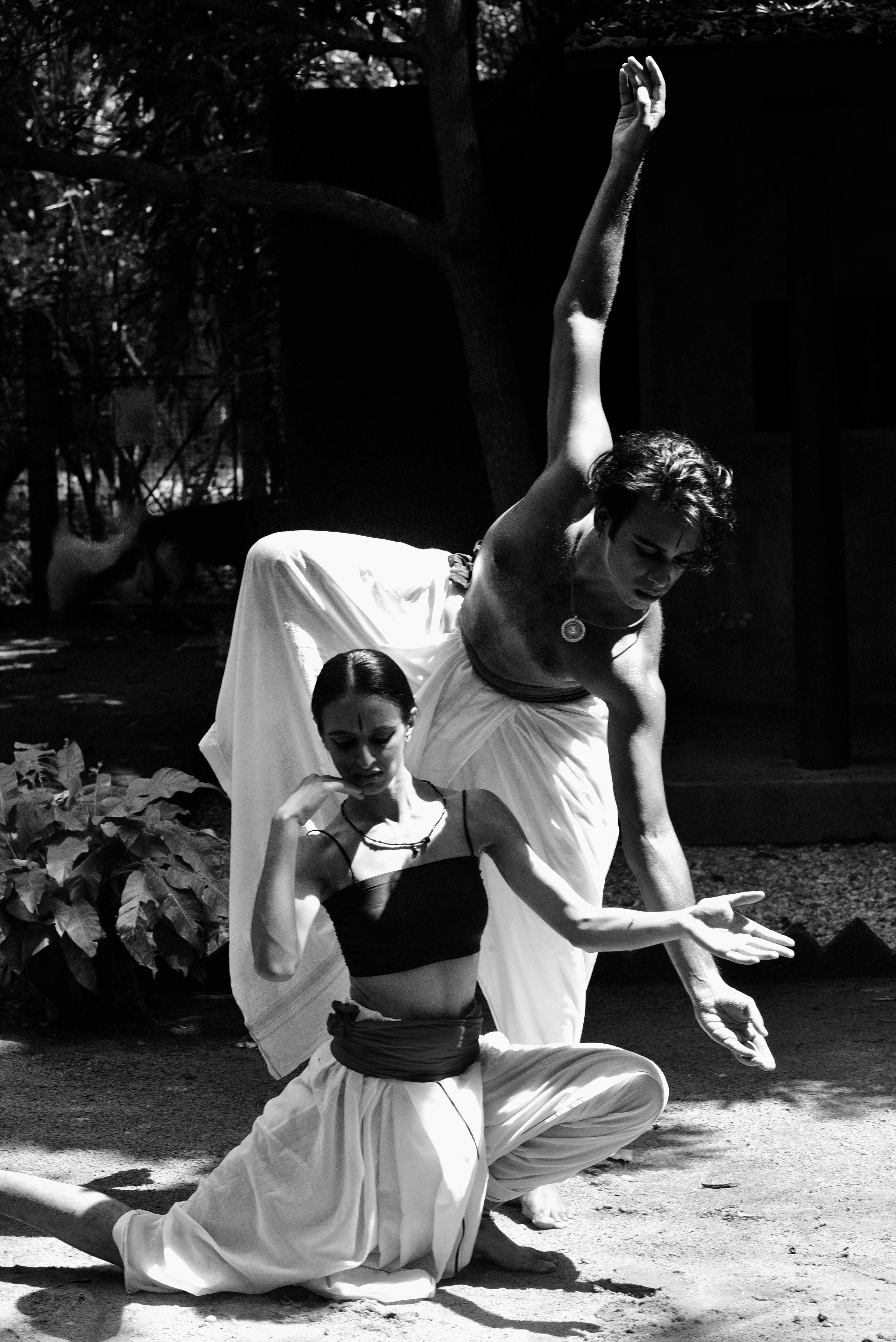 Performance photo